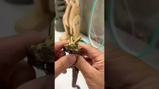 Thumbnail: 3D Printer Dragon