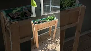 Thumbnail: $15 DIY Raised Bed from cedar picket boards
