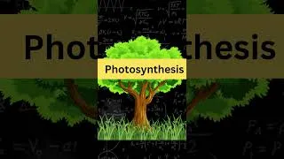 Thumbnail: ☘️🌳Photosynthesis kya hai 🤨☘️🌳 #youtubeshorts #viral #photosynthesis #science