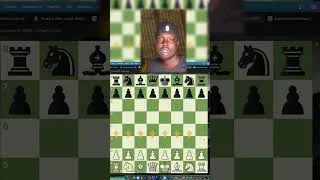Thumbnail: How Chess Engines See the Board