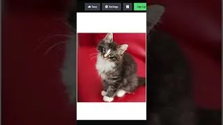 Thumbnail: CSS Clip Path to create Shape #shorts #coding #css #frontend #programming
