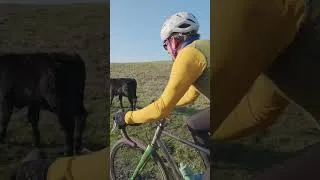 Thumbnail: Stoke Fest 2026 Trailer