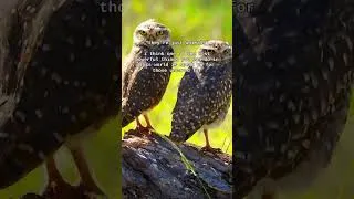 Thumbnail: "They're just animals"