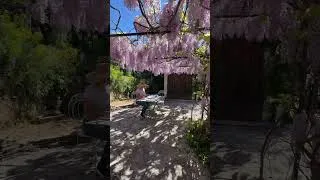 Thumbnail: Spring in the South of France! #shorts