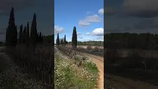 Thumbnail: Springtime In Provence!