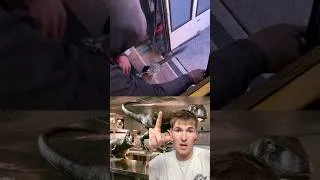 Thumbnail: Roadrunner is Velociraptor IRL