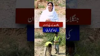 Thumbnail: Khyber Youth Sells Mobile Phone to Plant Trees!
