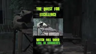 Thumbnail: The Quest for Excllence #shorts #panda #nature #meme