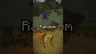 Thumbnail: Will we ever get Sheep Variants in Minecraft?