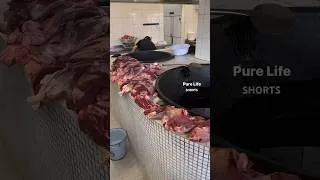 Thumbnail: Samarkand PILAF😳 Unique Technology  #purelifeshorts #foodlover #asmr #travel #amazingfood #food