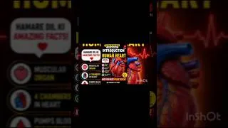 Thumbnail: 🫀 Introduction of Human Heart | Life Processes |Class 10 Biology | #Shorts #biology #class10 #viral