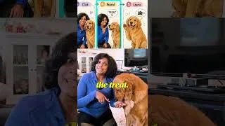 Thumbnail: Learn AI From My Dog #ai
