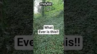 Thumbnail: A 22 Mile Earthwork!!?? #shorts