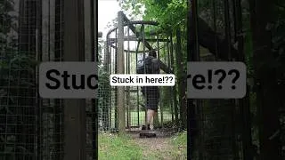 Thumbnail: The Bizarre Gate #short