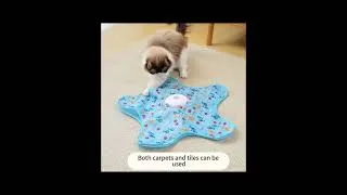 Thumbnail: High margin hide and seek interactive toy for pet store #bestpetsupplies #petshub