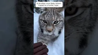 Thumbnail: How These Random People Rescued The Helpless Animals #rescue #shorts