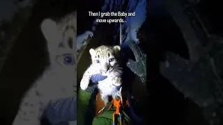 Thumbnail: A Mother Leopard Rescued Her Baby With a Random Guy! #leopard #rescue #shorts