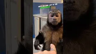 Thumbnail: 3 CRAZIEST exotic pets that people actually own