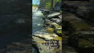 Thumbnail: Ambient Nature Scenes for everyday calm #natureambience