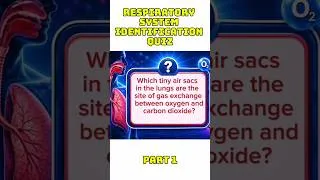 Thumbnail: Respiratory System Identification Quiz - Part 1 #youtubeshorts