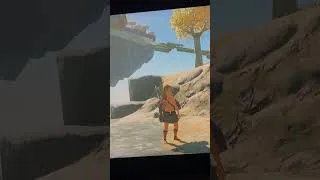 Thumbnail: Legend of Zelda: Tears of the Kingdom is WILD