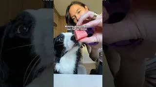 Thumbnail: DIY dog watermelon enrichment recipe #dogenrichment #dogfood