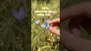 Thumbnail: brb, touching grass with Fin 💙