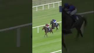 Thumbnail: A class apart in the Group 3 Royal Whip Stakes - A Boy Named Susie 👌