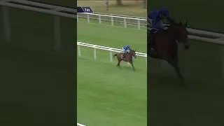 Thumbnail: Bin Jahwar wins by half the track on debut 👀