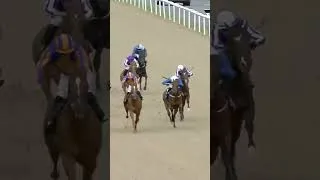 Thumbnail: Il De France impresses for Ballydoyle 🏆