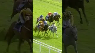Thumbnail: The photo finish that won Trawlerman the Ebor 💙