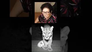 Thumbnail: she didn't expect that 💀 #funny #dontlaught #funnymemes #satire