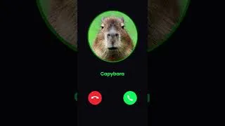 Thumbnail: The capybara is calling you #capybara #funnyremix #meme #calling