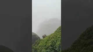 Thumbnail: Feel the Chill of Genting Highlands ❄️🌫️