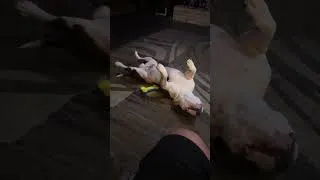 Thumbnail: TITAN DANCES ON HIS BACK