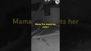 Thumbnail: July 13, 2026