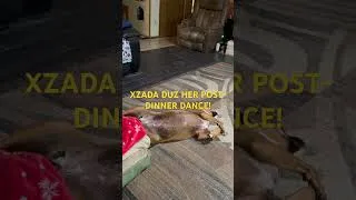 Thumbnail: Xzada-Dog “walks” on her back!!