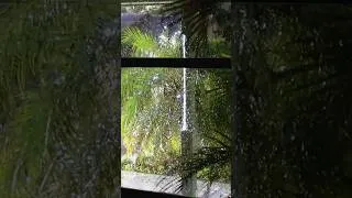 Thumbnail: Power Transformer VS Hurricane #hurricane #hurricaneirma #powertransformer #transformer #explosion