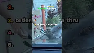 Thumbnail: Ranking Funny Raccoon Moments