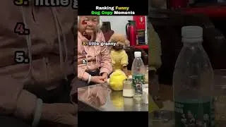 Thumbnail: Ranking Funny Dog Copy Moments