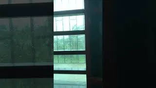 Thumbnail: #stormyday #rainstorm #rainonwindow #rainsounds #rainoundforsleep #relax #relaxingsounds #whitenoise