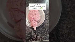 Thumbnail: I Bought a Goat Brain🧠 Parent Needs to Know This✅ #RightBrainEducation #Parenting #EarlyLearning