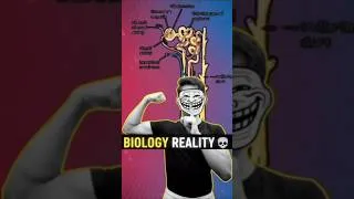 Thumbnail: Nephron Drawing Gone Wrong 😂 | Wake Up To Reality. #viral #education #class10th #nephron #boards