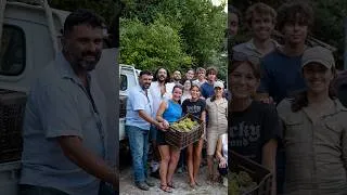 Thumbnail: Ralston College | Wine Harvest 2026