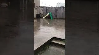 Thumbnail: Rain is Lovely