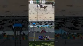 Thumbnail: we have good racing sometimes!