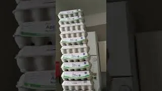 Thumbnail: The Age of Pisa is over. The time of the Egg has come! Egg Tower Challenge! #Shorts