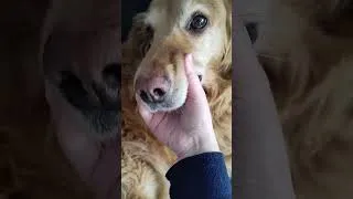 Thumbnail: Smiling or Flabbing?