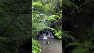 Thumbnail: The #1 Lost City Running Water Rediscovered 2023