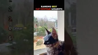 Thumbnail: Ranking Best Cat Costume Moments